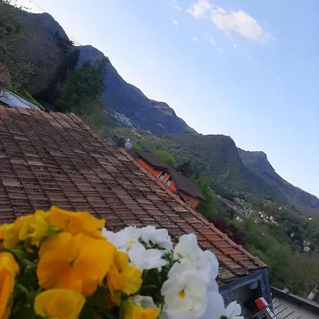 Vicino A Me Tatil Evi